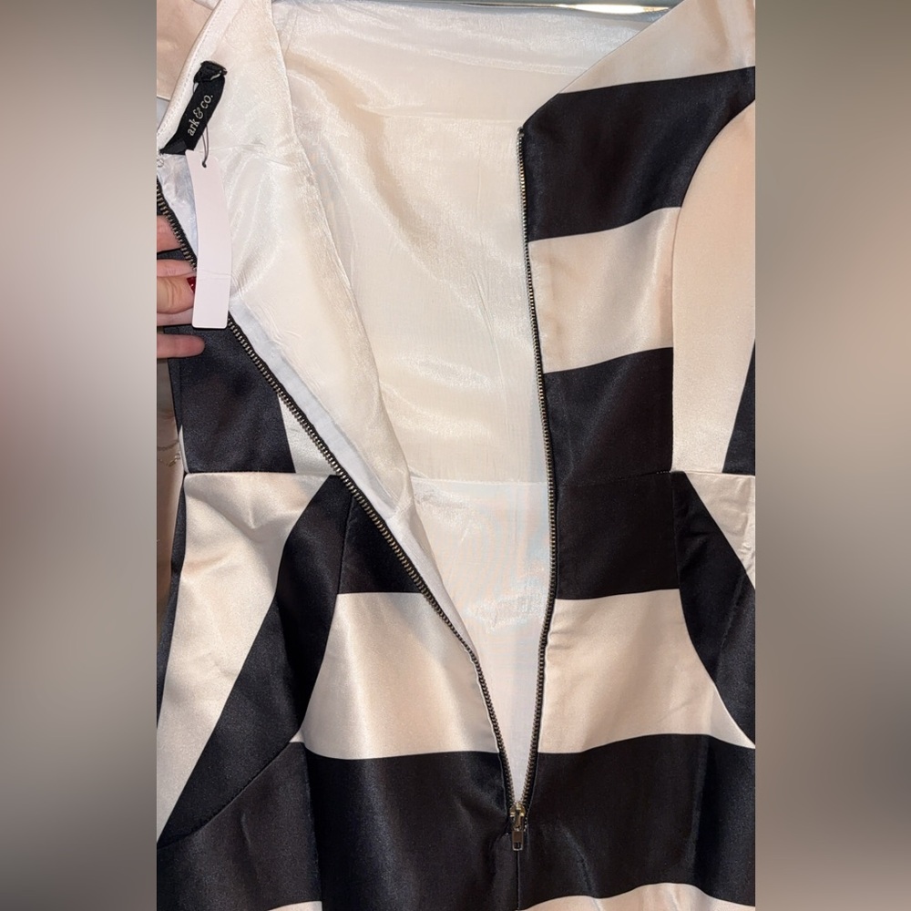 Ark & Co Colorblock Dress - Picture 4 of 6